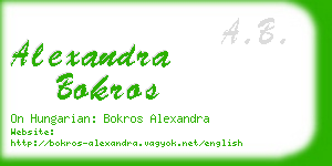 alexandra bokros business card